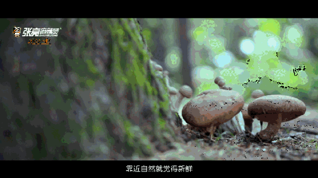 麻辣烫食材篇: