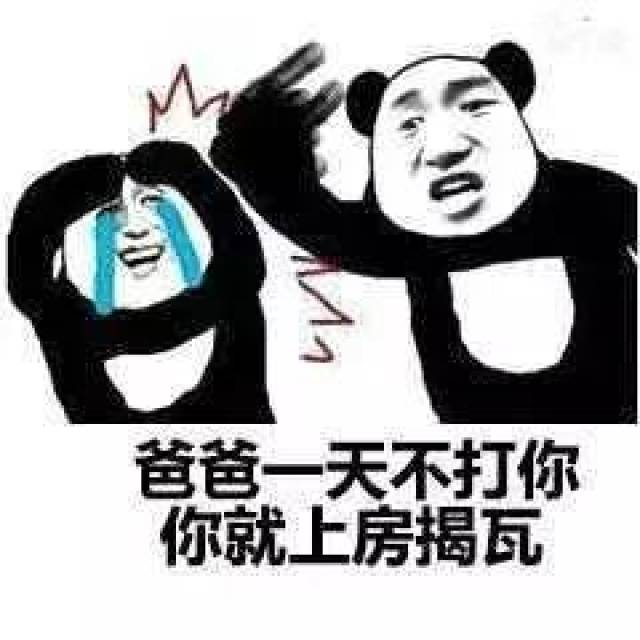 爸爸系列斗图表情包:翅膀硬了,和爸爸顶嘴了