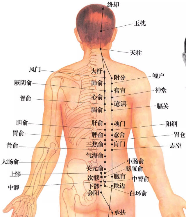 疏通经络仅需3步