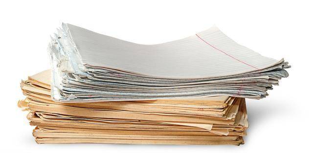 怎么训练柯基大小便?4步轻松解决!