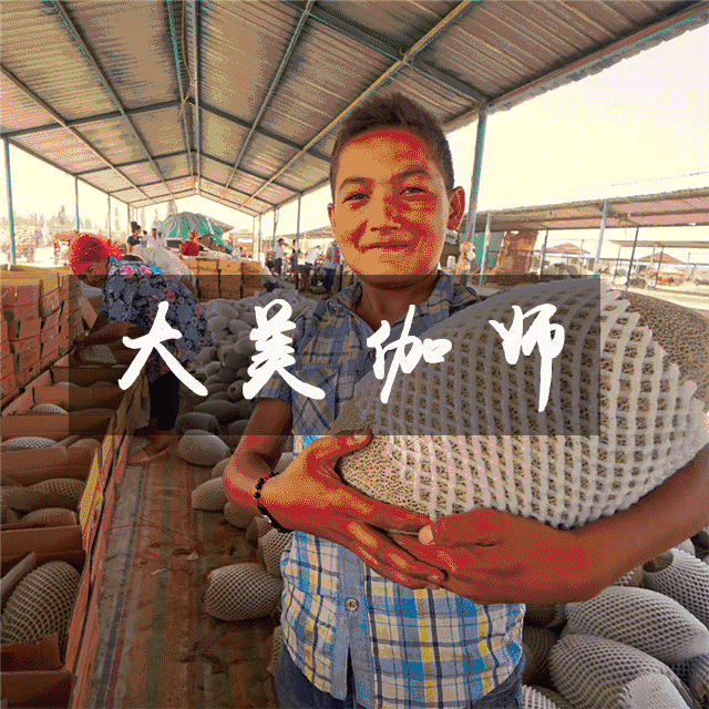 万里手相牵,旅游援疆不停步!佛山旅游业界向新疆伽师再出发