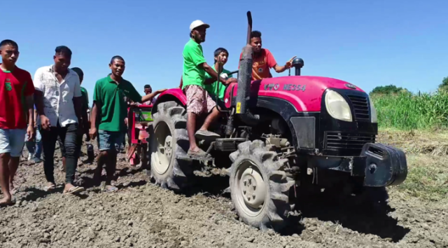 丝路》玉米地的守望者 在东帝汶孕育希望