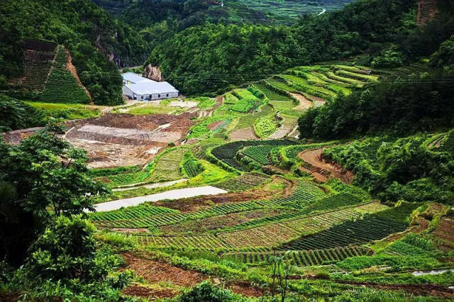 浙江秘境磐安藏着《延禧》同款火树银花,这个小县城注定要火