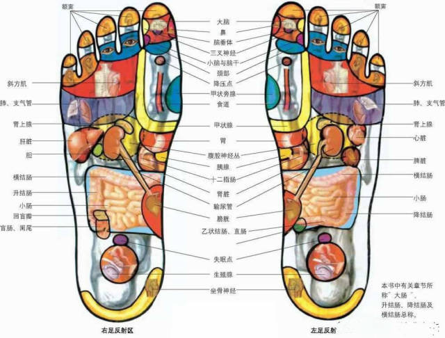 好吧,足底按摩到底有效吗?其实这个不要钱的事情你完全可以自己做嘛