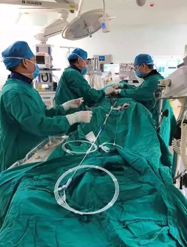 【病例分享】运用castor分支型主动脉覆膜支架系统治疗累及lsa的胸主