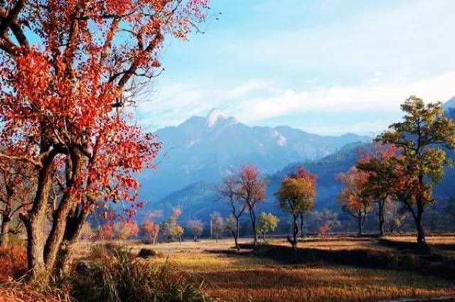 镇位于罗田县北部山区,鄂皖两省三县交界处,是大别山国家森林公园中心