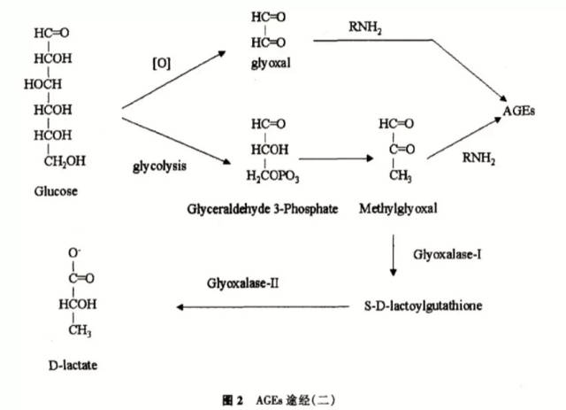 风靡某红书的抗糖丸真的有用吗?