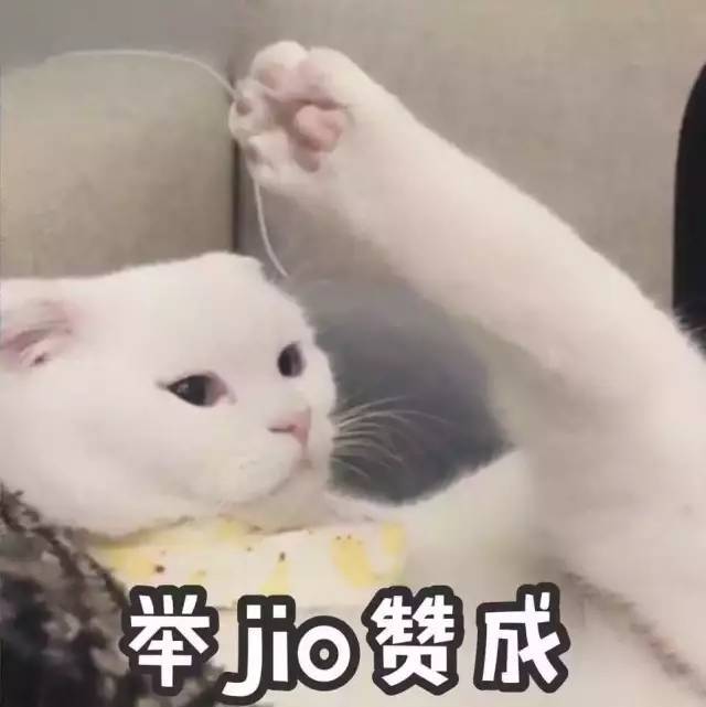 别慌! 中国反邪教原创表情包 【无邪兔】正式上线啦!