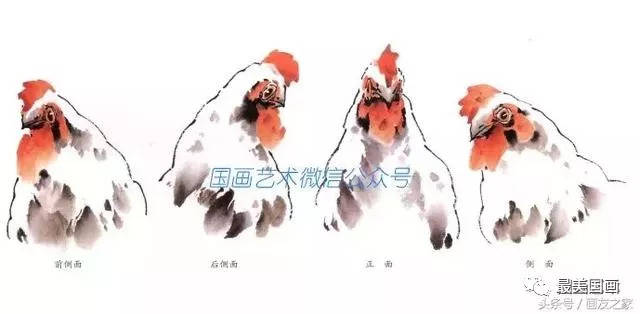 图文教程:中国画技法之写意画鸡