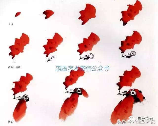 2.多角度的公鸡头部画法