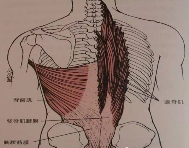 针刀治疗腰三横突综合征