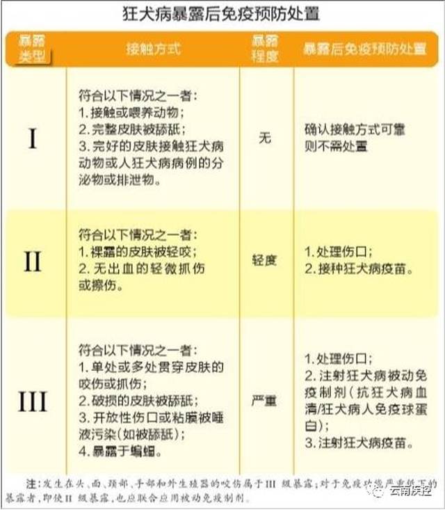 预防狂犬病 需做到这4点!