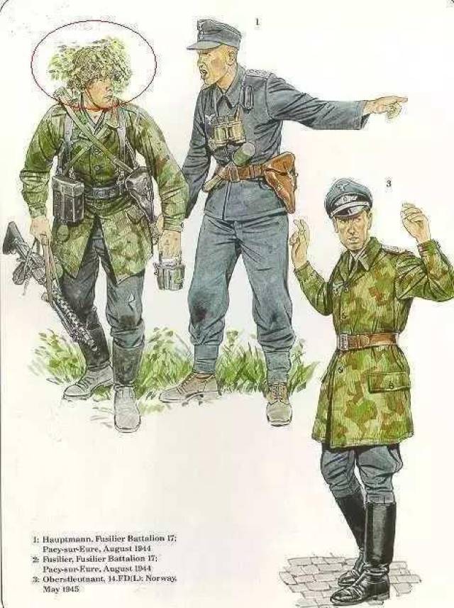 二战各国士兵钢盔上套的网绳是干什么用的?