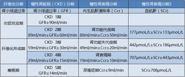 医生:或许你离尿毒症还很远!