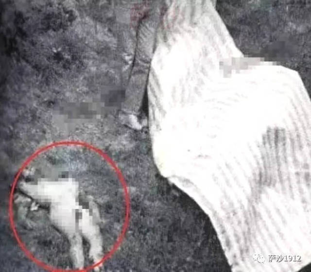 85年香港宝马山特大双尸案件：白人小情侣被性虐后殴打致死