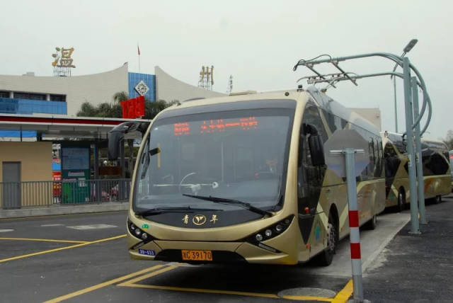 【治堵先锋】温州公交优质服务,吸引市民绿色出行