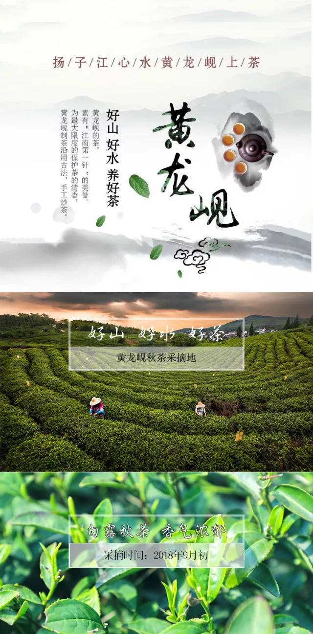 有一个地方叫"黄龙岘",有一种茶叫"白露茶"