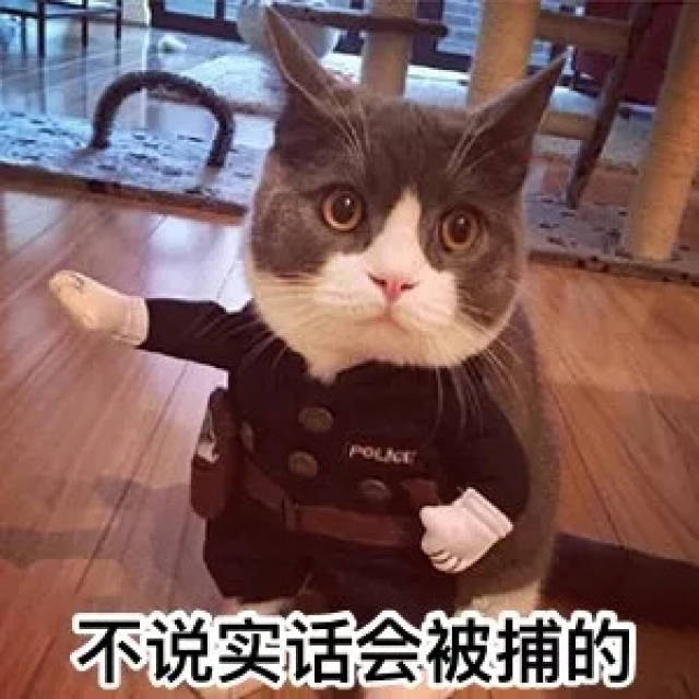 不说实话会被捕的(猫星人) 猫星人魔步