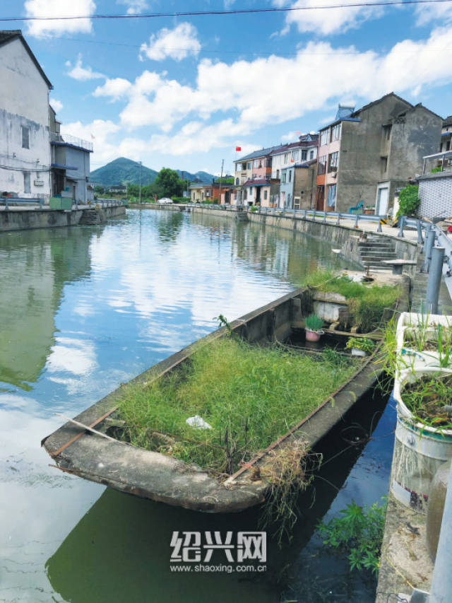 昨天,在柯桥区福全街道新迪埠村,一艘废弃船泊在河道上.