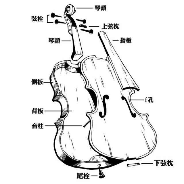 4,小提琴的构造