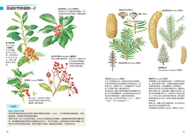 招募丨自然笔记工作坊