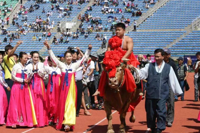 30 来自俄罗斯,韩国等国家摔跤运动员 将为您演绎一场精彩的 朝鲜族