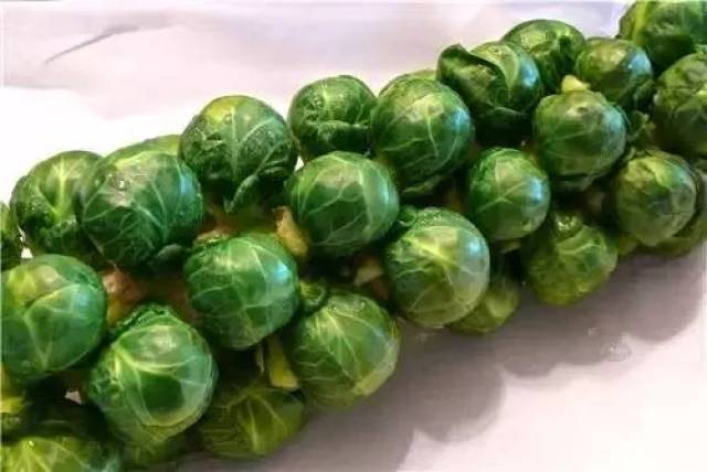 4. brussels sprout 抱子甘蓝