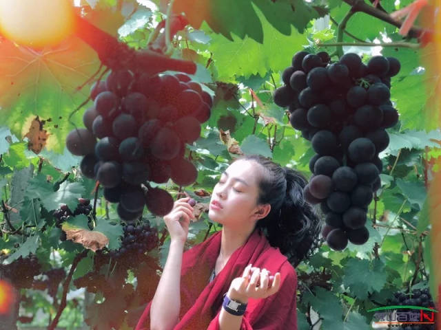 所以,她身上我们看到的是满满的阳光和自信.