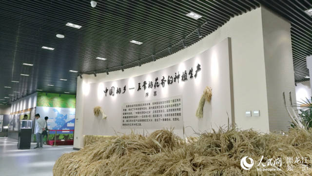 五常大米博物馆在"大米节"期间正式对外展出