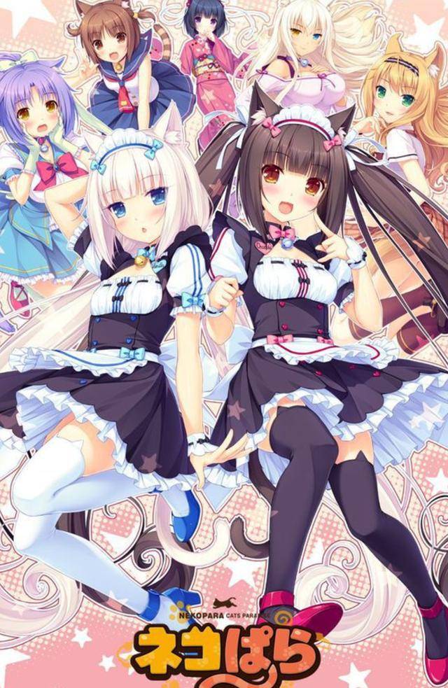 说实话,《nekopara》的人设确实很可爱,但也不算特别突出,剧情,人物