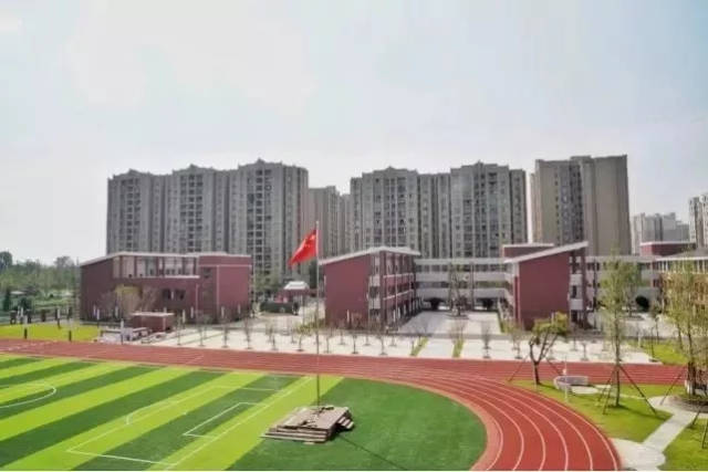 棠湖小学南区,黄水小学,西航港常乐学校.
