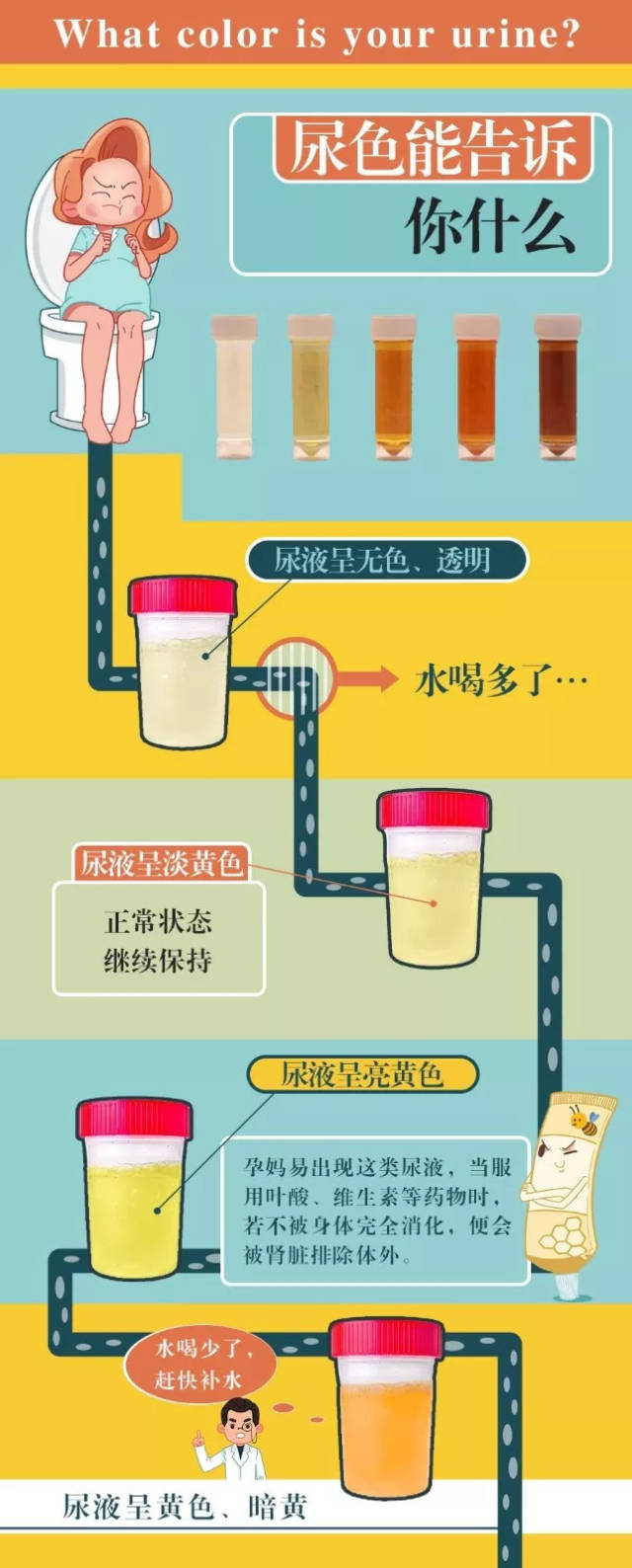 因为人体尿液主要由尿色素,尿胆素,尿胆原等元素组成,所以 正常情况