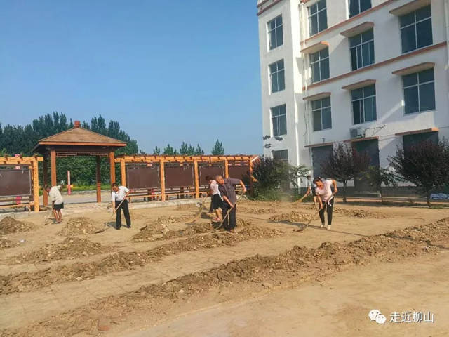 齐心协力抗洪魔,关键时刻显担当—记柳山镇后疃村党员干部杨洪利