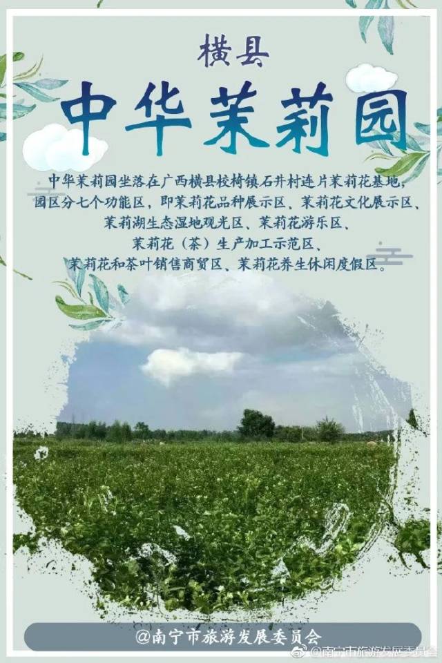 相约!2018中国(横县)茉莉花文化节·今年竟有这么多亮点