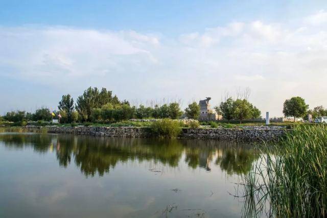 大荔黄河湿地风景区初秋美景惹人醉组图