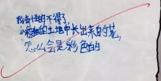 不假思索造句 搜狐网