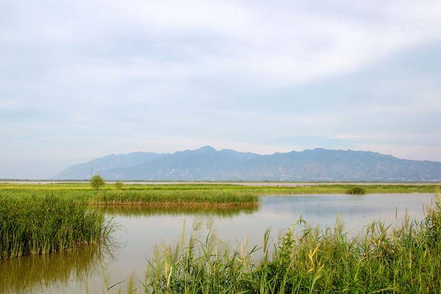 大荔黄河湿地风景区初秋美景惹人醉组图