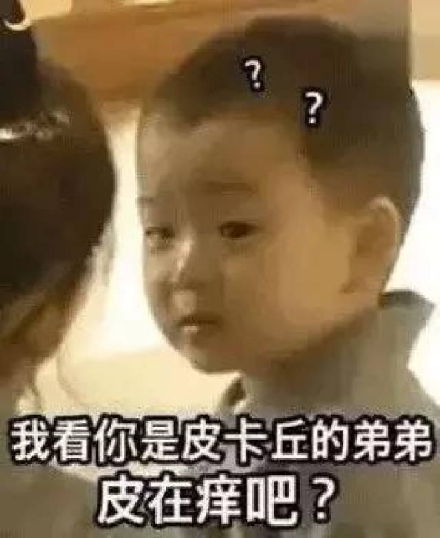 搞笑斗图表情包47张:我看你是皮卡丘的弟弟,皮