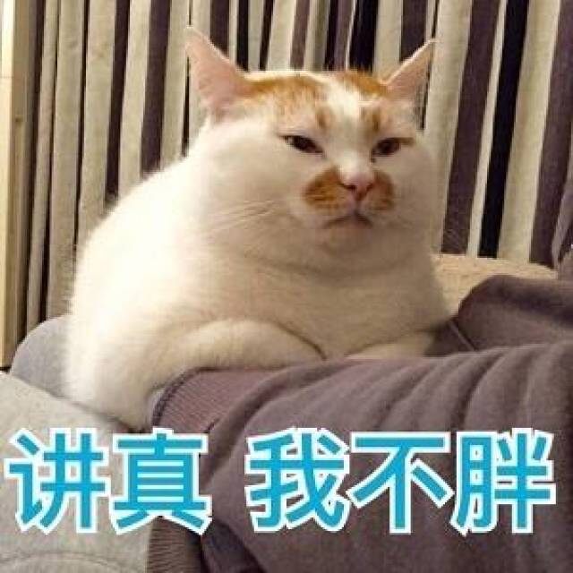 大脸喵的困惑表情包:满脸都写着高兴