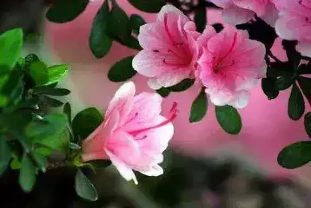 f5da8bd4cf5943ca89ac9c6f0aea70be.jpg