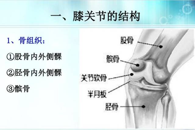 还在用小针找痛点吗