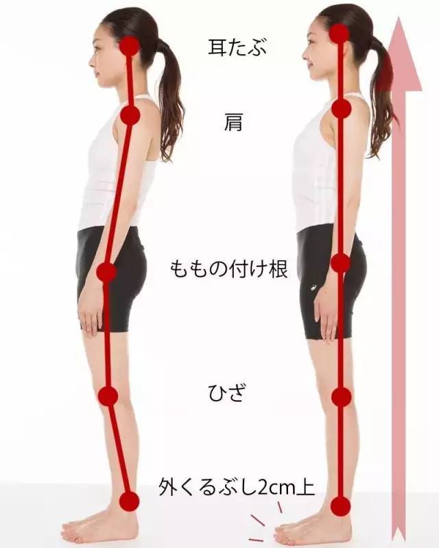 日本新式瘦身黑科技,戴上不仅瘦五斤还能解决「假胯宽