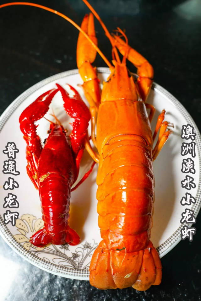 ޵ˮϺս,СϺվ