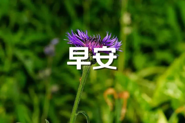 رƯ簲ʺͼƬʻ µһ쿪ʼ簲