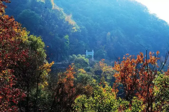 镇海区招宝山街道 招宝山旅游风景