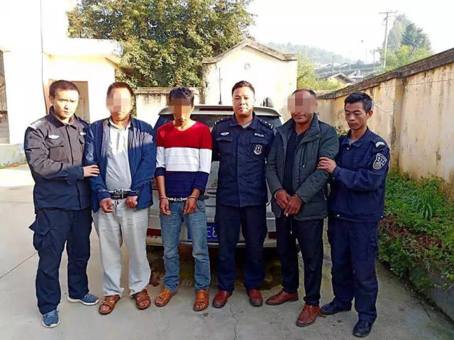手机搜狐网