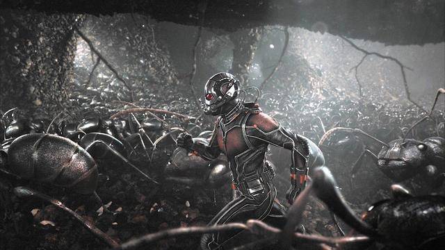 《蚁人2》上映,影片中蚂蚁能制造自己的"诺亚方舟?这还真不是虚构!