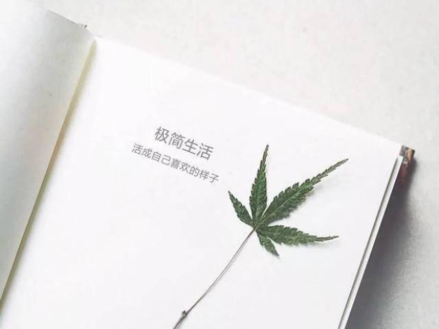 断舍离的人事物,离开错的,才能遇见对的;离开不合适的