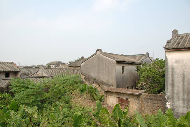 龙湖古寨慢时光 祠第无数,庭院深深,千年老榕树盘龙错