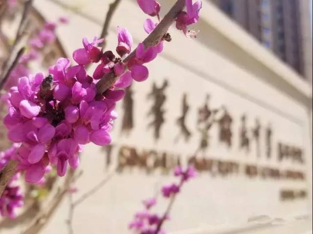 清华附中昌平学校悦府校区小学部,建成开学!